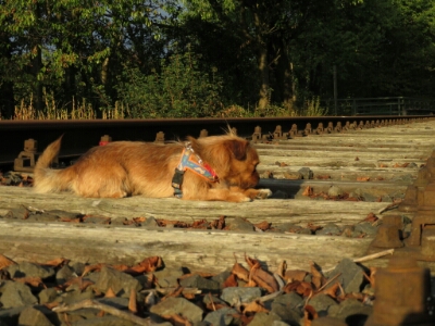 20160916181657.JPG image