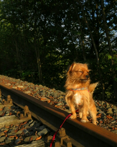 PicsArt_09-18-07.28.40.jpg image