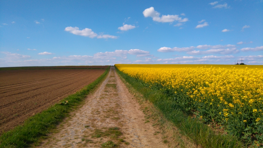 Auf dem Lutherweg – 3. Etappe Friedberg nach Wölfersheim