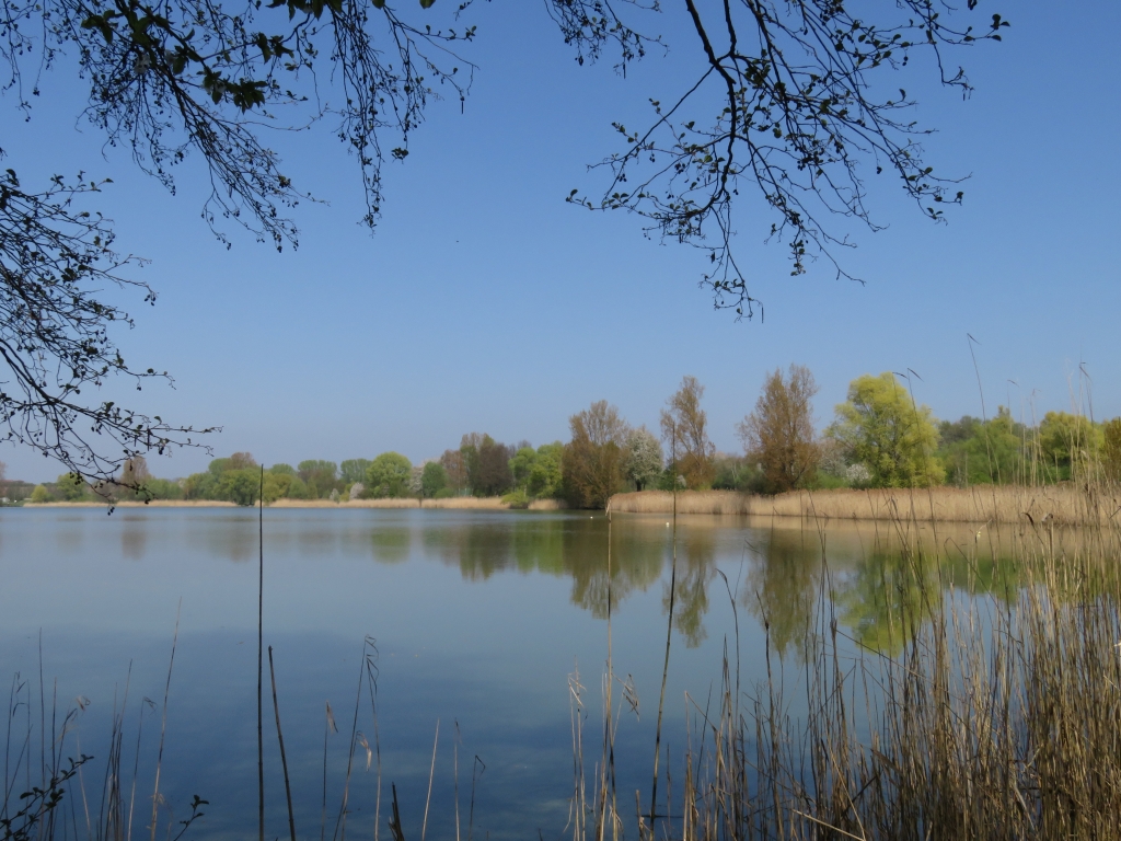 Die Wetterauer Seenplatte
