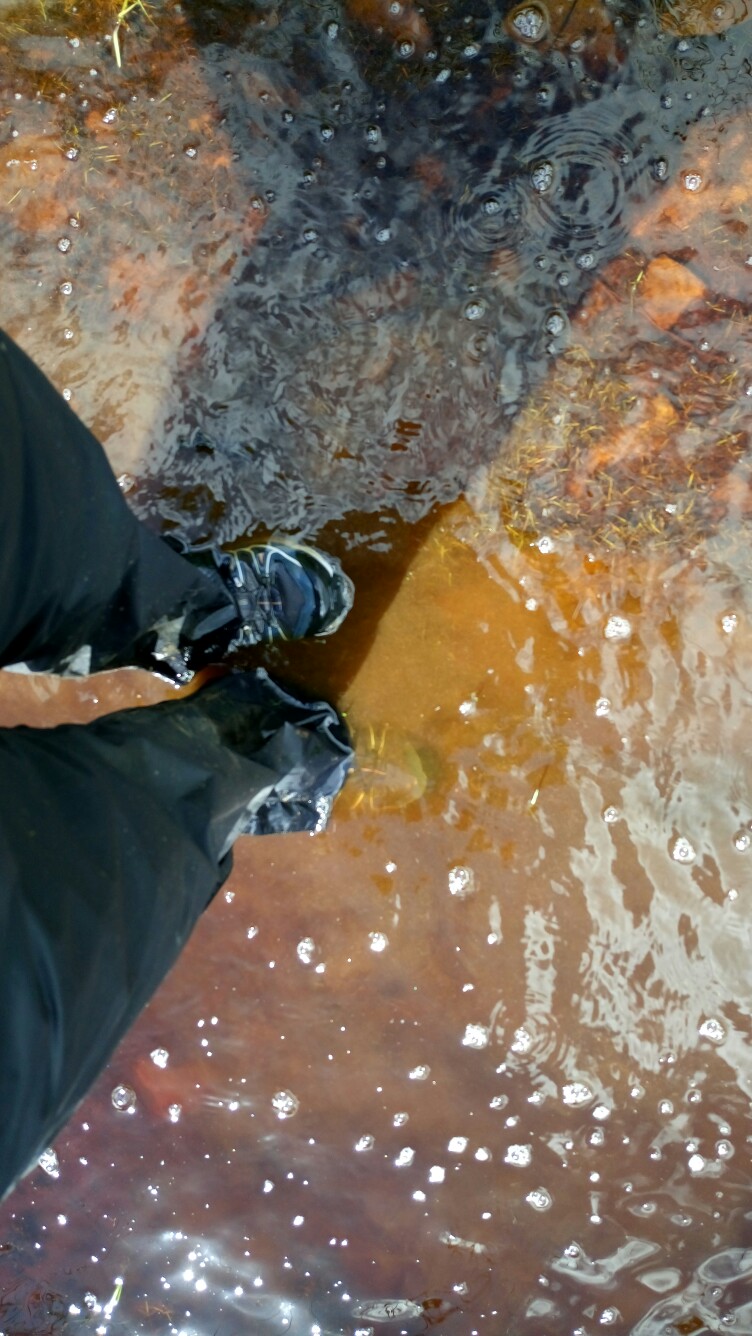 By the rivers of Babylon – Donnerstag 03.08.2017