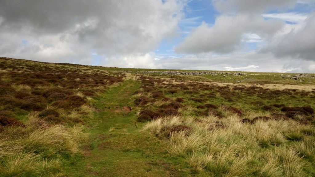 Step by step – Montag 31.07.17