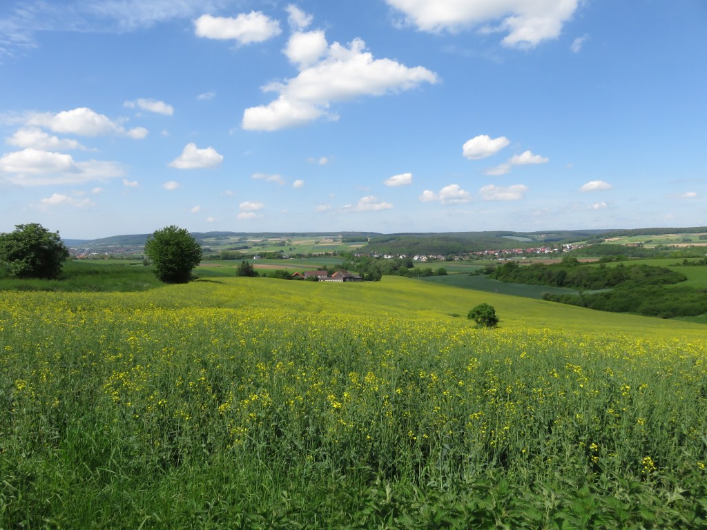 Der Vogelsberger Jakobsweg&nbsp;(E3)
