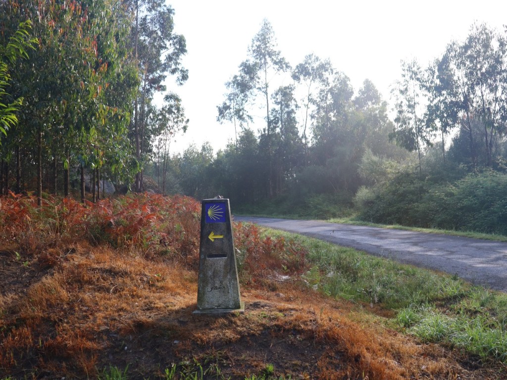 22. Juni 2022 – Negreira bis&nbsp;Lago